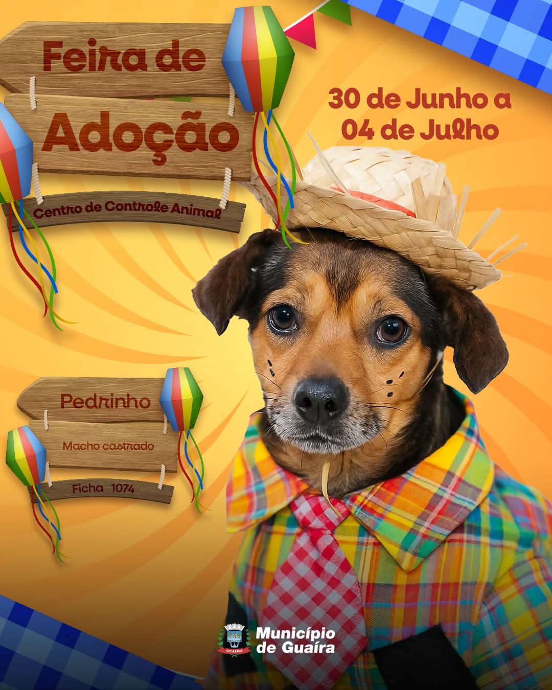 Município realiza a 8ª Feira Municipal de Adoção