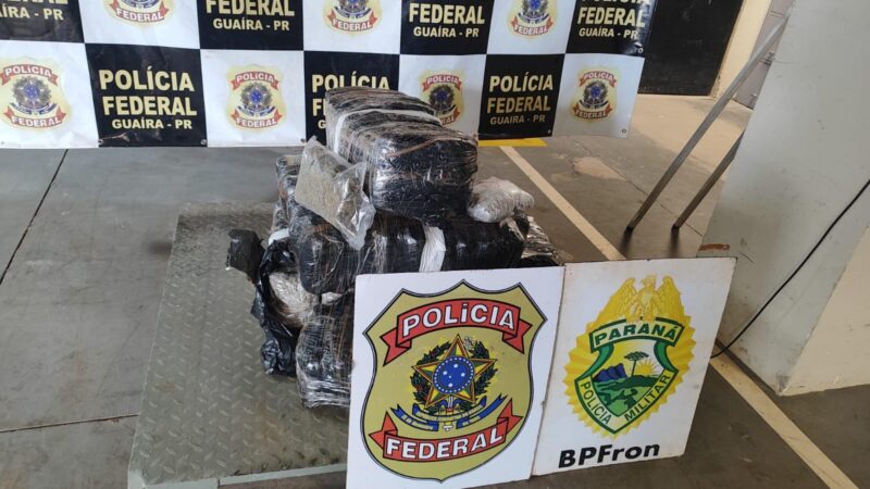 PF e BPFRON realizam prisão de homem com 47 kg de maconha artesanal