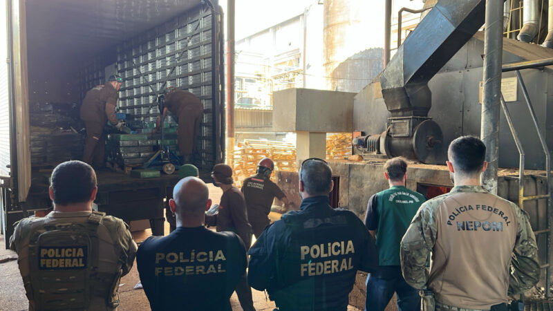PF em Guaíra, promove a destruição de aproximadamente 9,5 toneladas de drogas na 7ª ação de incineração do ano de 2025