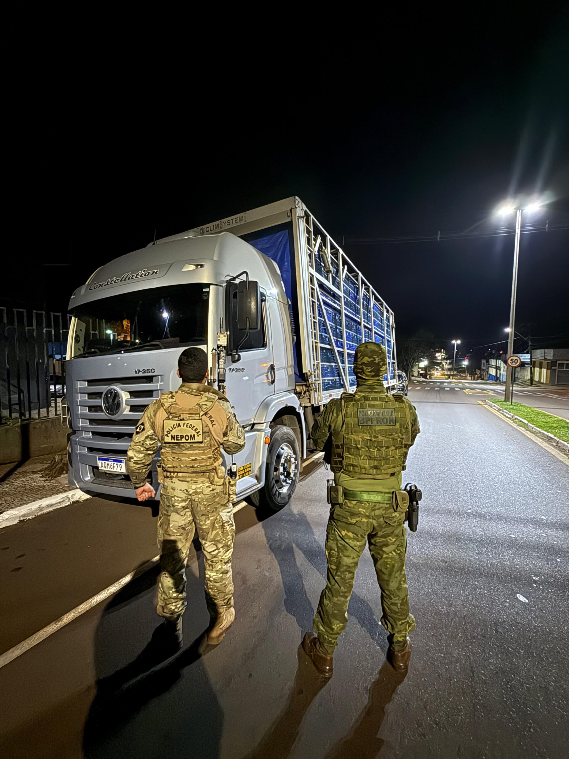 PF prende seis pessoas por crime ambiental em Guaíra