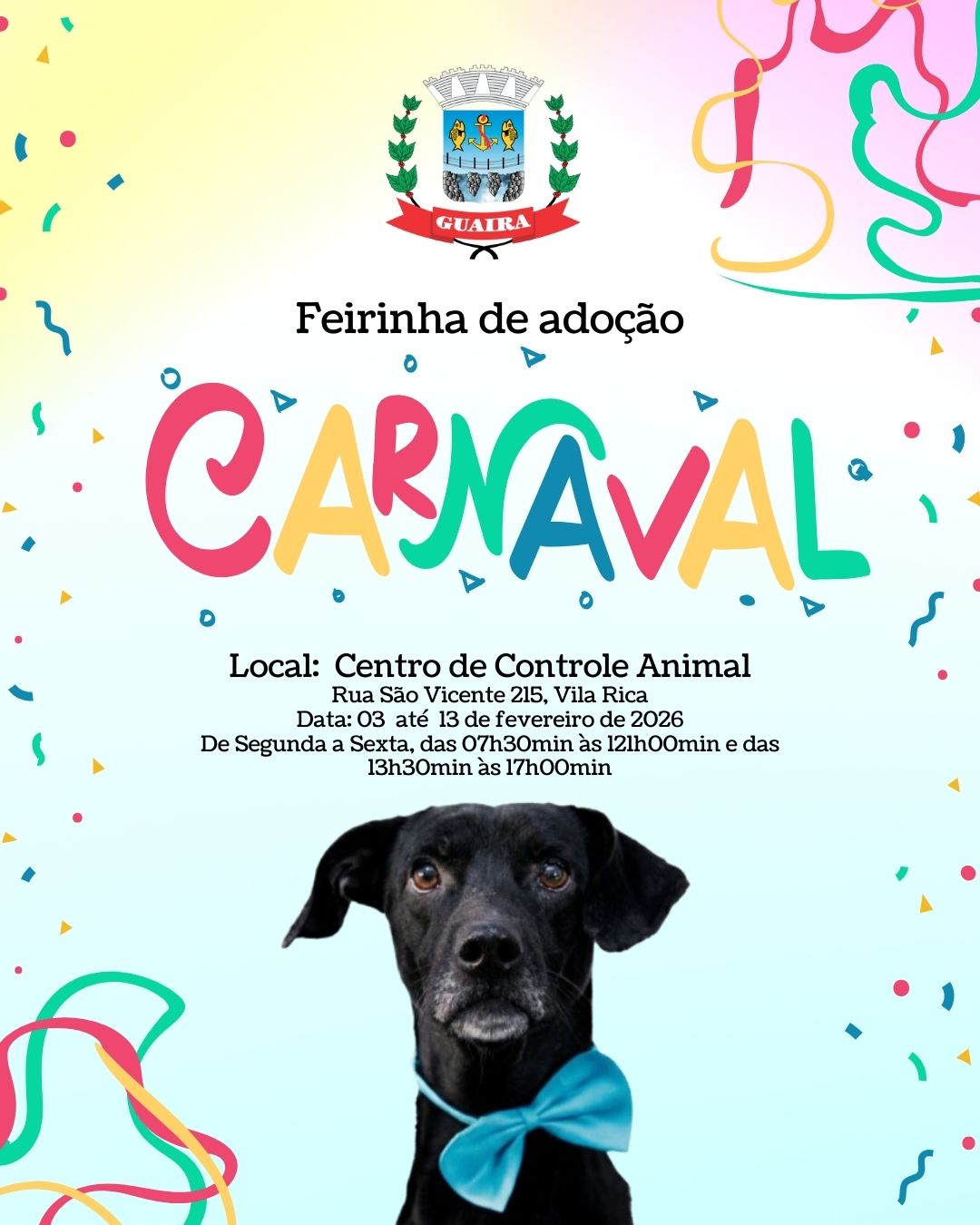 Feirinha de Adoção Carnaval